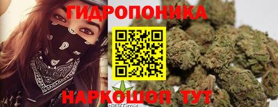 МДМА Славгород