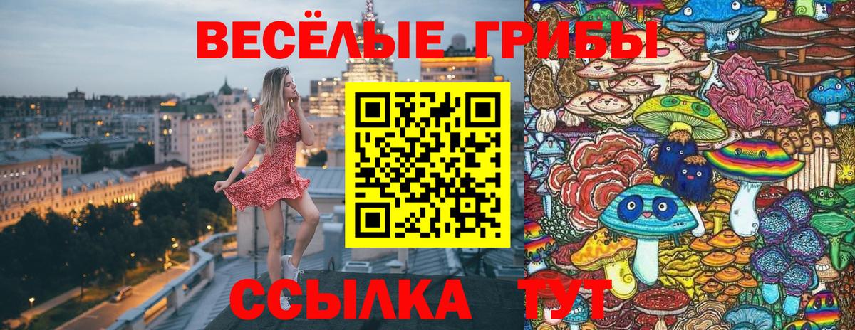 Псилоцибиновые грибы мухоморы Новодвинск